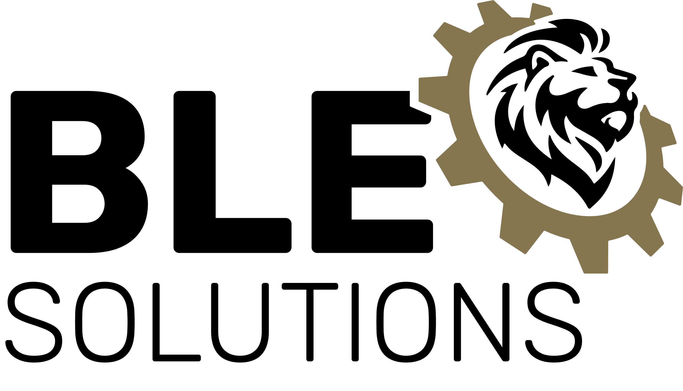 BLE-Solutions_LOGO_PMS